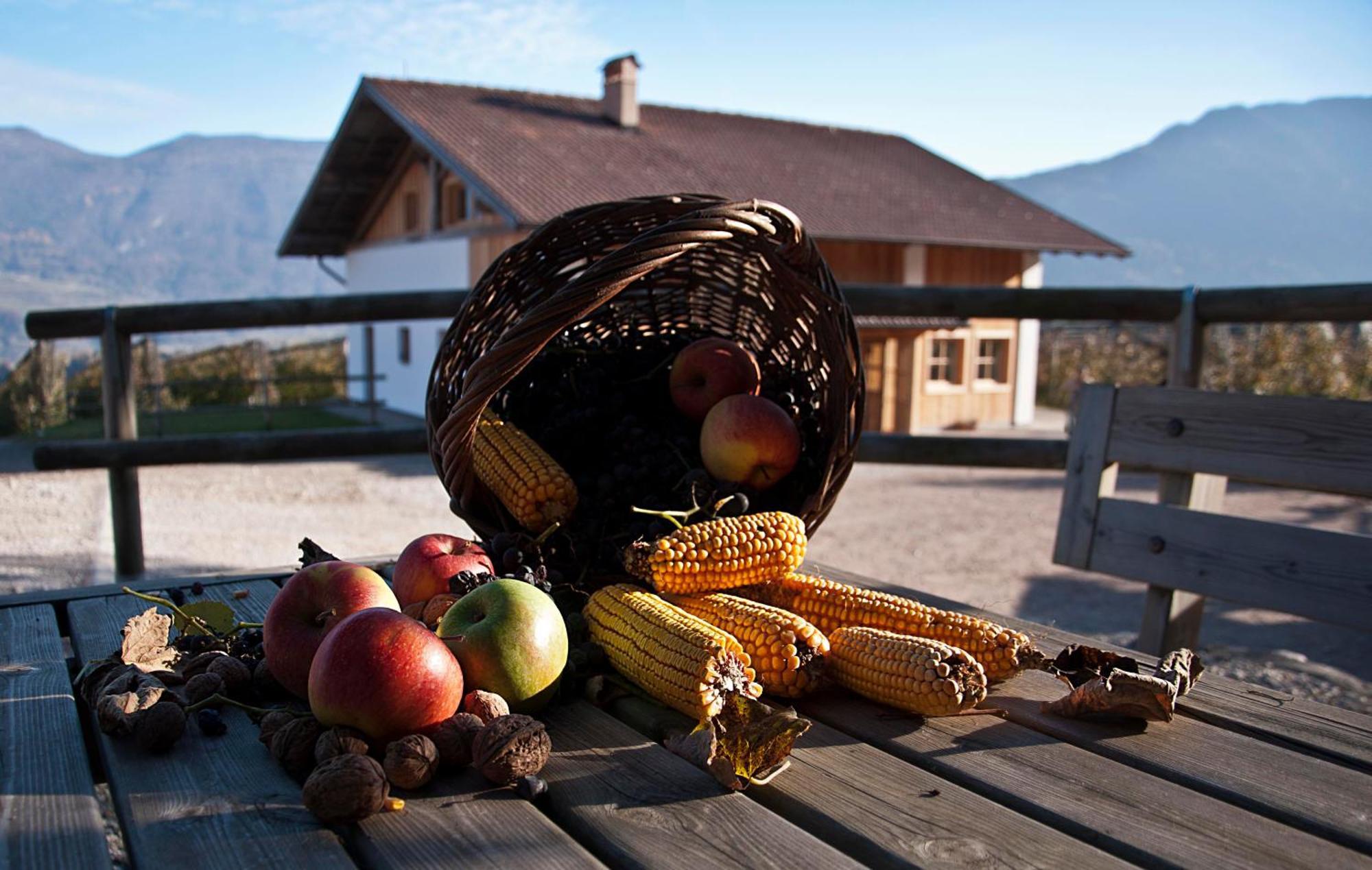 Agritur Maso Pra' Cavai B&B Balbido-rango Kültér fotó