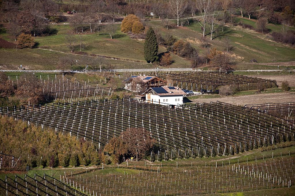 Agritur Maso Pra' Cavai B&B Balbido-rango Kültér fotó